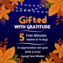$2 22 GiftedMinutes SunnyJ Tarot — SunnyJ tarot, Sun Pixies from Dixie