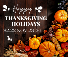 222Nov — SunnyJ tarot, Sun Pixies from Dixie