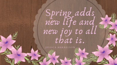 April1 2021 — SunnyJ tarot, Sun Pixies from Dixie