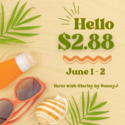 JuneDiscountDays SunnyJ Tarot — SunnyJ tarot, Sun Pixies from Dixie