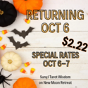 NewMoon2 22Days SunnyJTarot — SunnyJ tarot, Sun Pixies from Dixie
