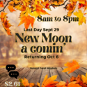 NewMoonBlueMoon — SunnyJ tarot, Sun Pixies from Dixie