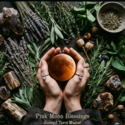 Pink Moon Blessings SunnyJ Tarot Master — SunnyJ tarot, Sun Pixies from Dixie