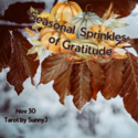 Seasonal Sprinkles Gratitude2 — SunnyJ tarot, Sun Pixies from Dixie